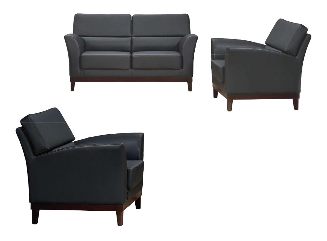 Sofa Sofa set leather sofa couches seating set sofa upholstery couch 2-piece armchair