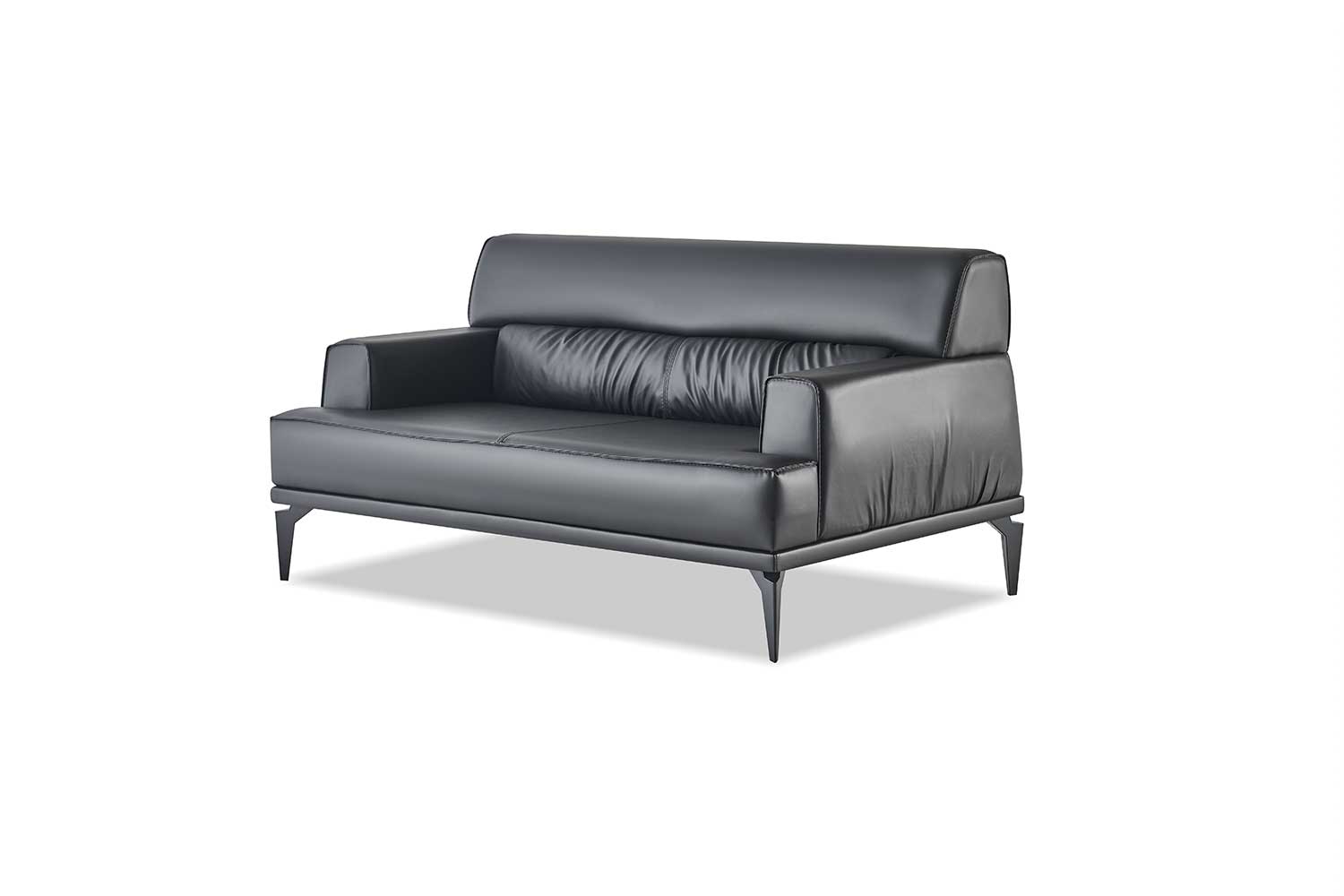 2-Seater Sofa Black Modern Leather Sofa Stainless Steel Couch Seating Furniture Leather