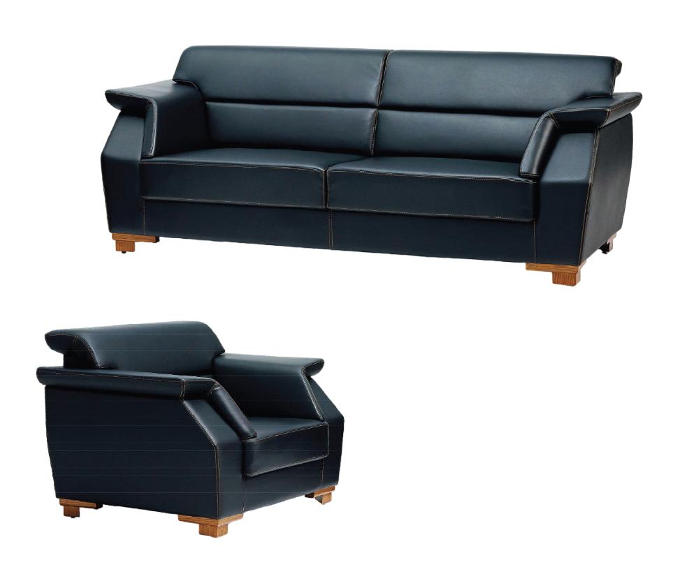 Sofa 2-Seater Couch Sofas Upholstered Sofas Luxury Leather Office Furniture