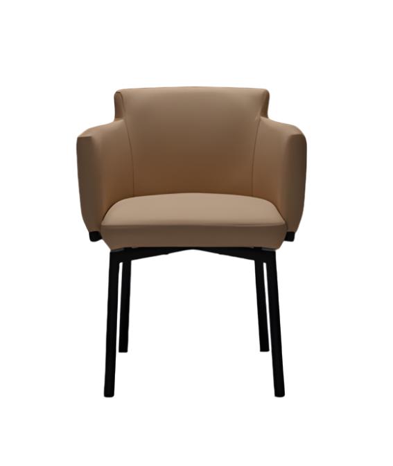 Chair Luxury Dining Room Beige Wood Furniture Chairs Stylish Design Decor