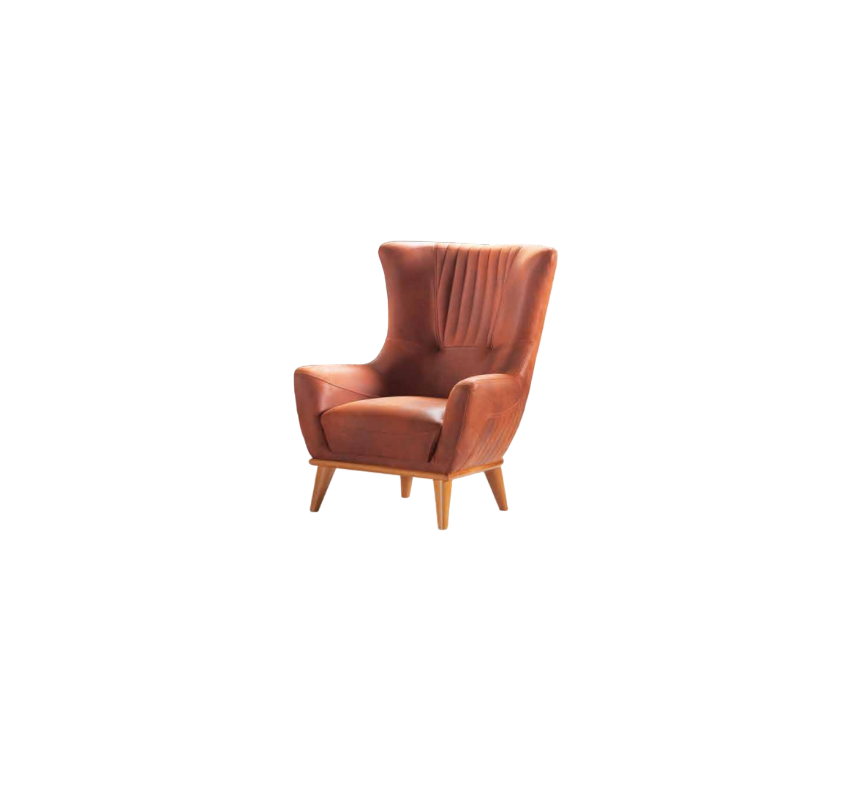 Hotel armchair, lounge chair, club chair, comfort chair, conference chair, waiting room chair.
