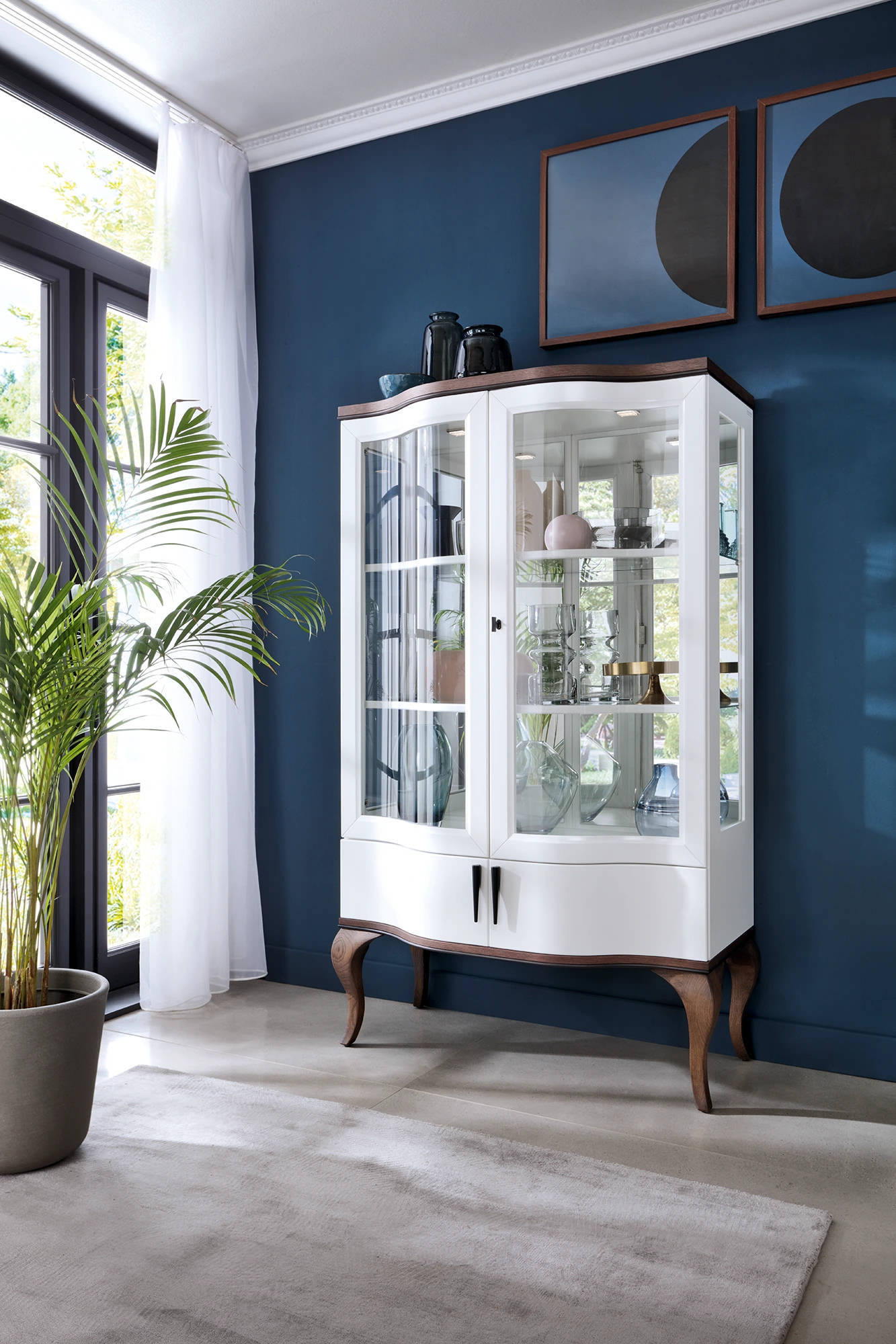 Display cabinet display showcase object cabinet showcase cabinet glass cabinet