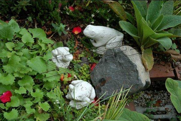 Garden decoration frog terrace stone figures figure decoration statue sculpture 527