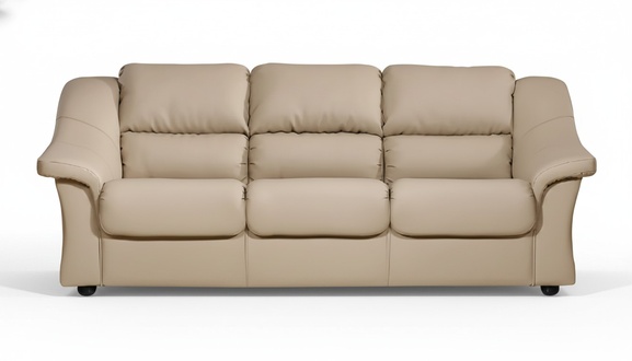 2-Seater Sofa Couch Upholstered Sofas Seating Sets Design Club Leather