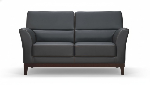 2-seater sofa couch upholstered sofas design sofa club leather