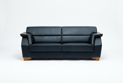 2 Seater Sofa Two-Seater Sofas Couch Upholstered Modern Couches Furniture