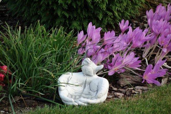 Bird bath sculpture design figure statue garden figures statues bowl S104084