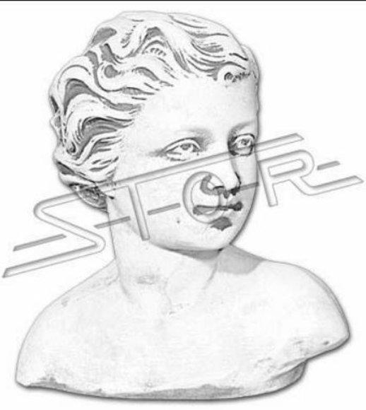 Eva Bust Sculpture Design Figure Statue Garden Figures Statues Sculptures New 463
