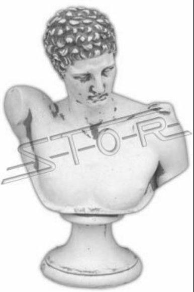 Roman bust figure figures statue statues sculpture sculptures woman 30cm 465