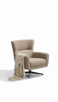 Armchair Club armchair Upholstered armchair TV armchair Lounge chair Recliner