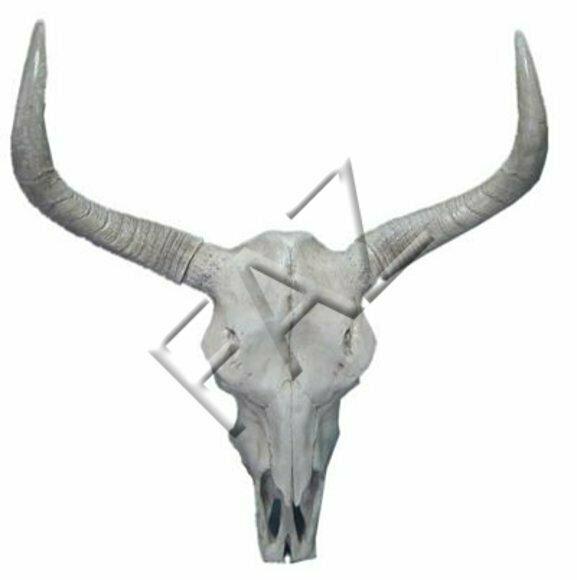 Decorative wall sculpture designed as cow skull with long horns 80 x 73 cm