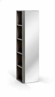 Bathroom tall cabinet with mirror door shelf bathroom cabinet bathroom furniture furniture shelves