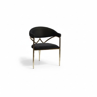 Black Stainless Steel Chair Wooden Frame Dining Room Chairs Modern Single Seater