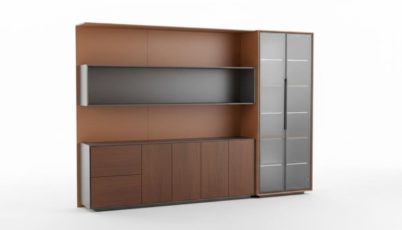 Books files cabinet shelf wall law firm practice company office furniture shelves
