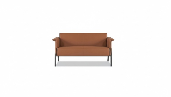 Brown office 2-seater luxurious two-seater sofa textile furniture