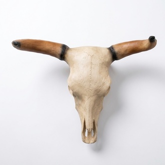 Decorative wall sculpture designed as a white colored skull of a bull 64cm