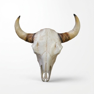 Decorative wall sculpture designed as a white colored miniature skull of a bull 64cm