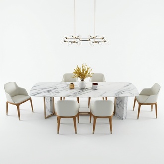 Complete set dining table + 6 chairs dining set dining group wood table tables 7tlg