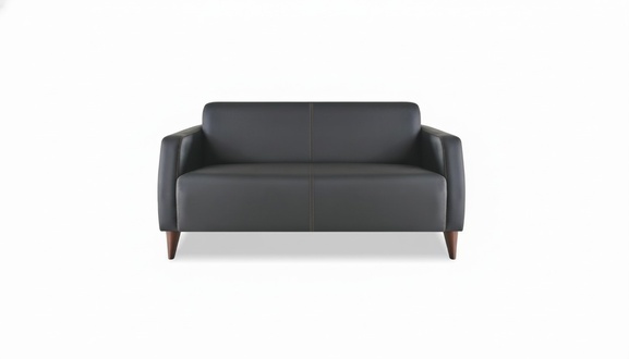 Sofa 2-Seater Black Leather Sofa Modern Wood Leather Versatile