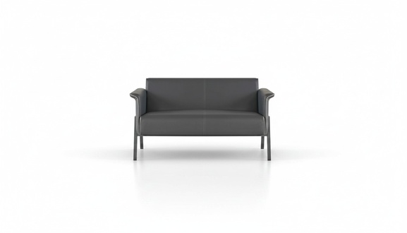 Dark grey 2-seater office modern leather loveseat elegant furniture