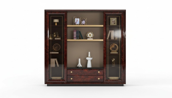 Design Cabinet Bookcase Display Case File Shelf Office Furnishing Shelf Office
