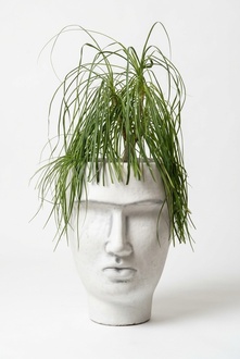 Design Flower Pot Top Planter Vessel Pots Figure Face Sculpture S204028