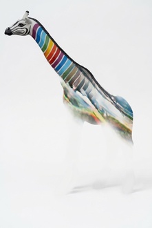 White/black decorative giraffe sculpture in colorful stripes painted 330cm height