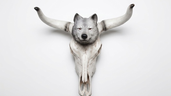 Decorative sculpture designed as cow skull with a wolf head 55cm height