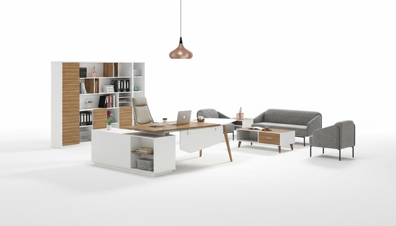 Filing cabinet bookcase shelves cabinet luxury office furniture cabinets 240 cm wood new