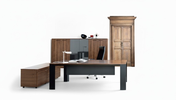Filing cabinet Register cabinet Sliding doors Shelves Office cabinets Furnishings