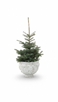 Flower pot plant pot decoration figure flower pots garden vases 197