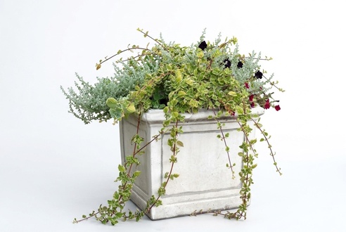 Flower pot plant pot decoration figure flower pots garden vases vessels 560