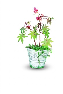 Flower pot plant pot decoration figure flower pots garden vases vessels 267