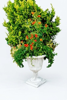 Flower pot plant pot decoration figure flower pots garden vases vessels 110