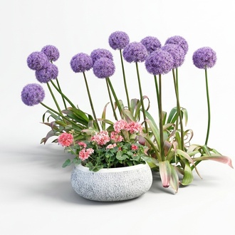 Flower pot plant pot decoration figure flower pots garden vases vessels 204052
