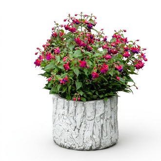 Flower pot plant pot decoration figure flower pots garden vases vessels 204068