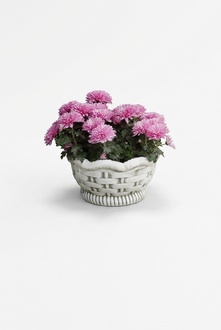 Flower Pots Box Pot Flowers Pots XXL Concrete Garden Terrace Sculpture S204001