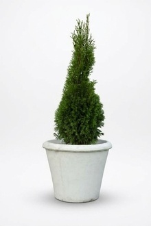 Flower pot plant pot decoration figure flower pots garden vases vessels 559