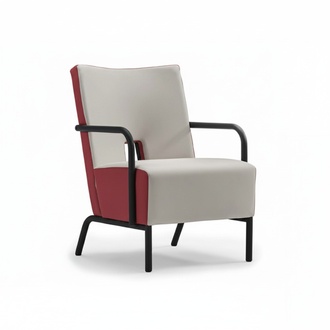 Leather armchair Club Lounge chair single seat hotel waiting room wing chair