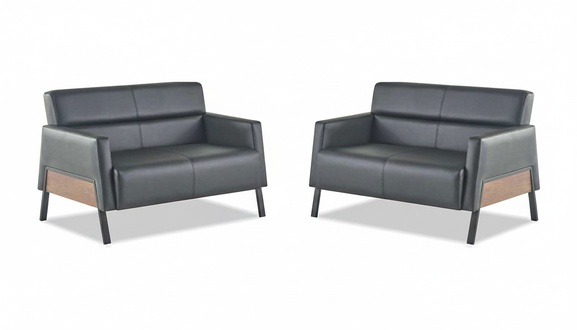 Leather sofa set 2-seater black modern couch leather stainless steel wood soft