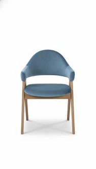 Luxury Design Upholstery Solid Wood Chair Chairs Seat Lehn Office Dining Room