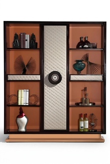 Luxury Designer Display Cabinet Wood Leather Books Cupboards Living Work Room