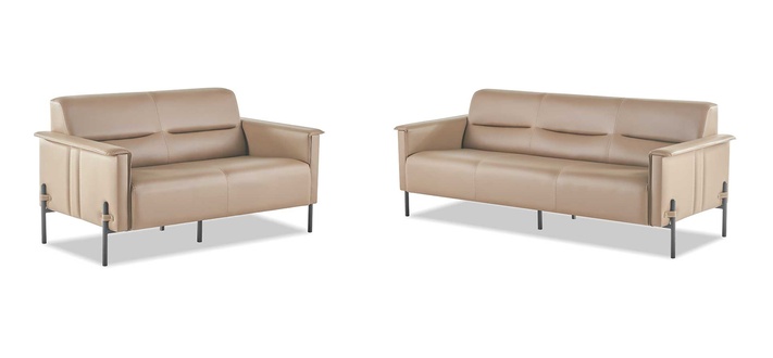 Modern set 3-seater 2-seater sofas leather sofas stainless steel complete leather