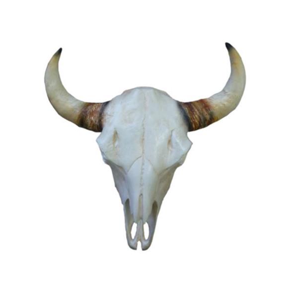 Decorative wall sculpture designed as a white colored miniature skull of a bull 64cm