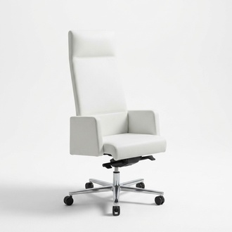 Office Chair Swivel Armchair Back Chair Computer Chair Italy Chairs
