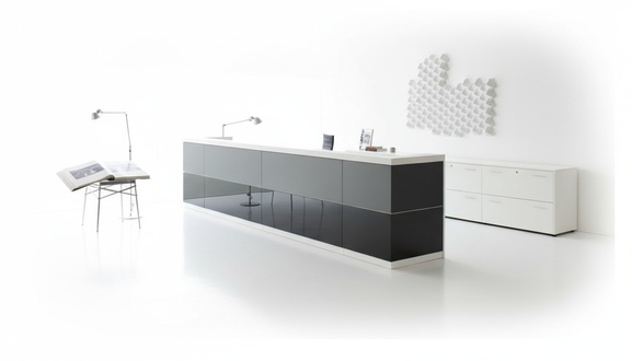 Reception Desk Office Work Desk Law Firm Practice New