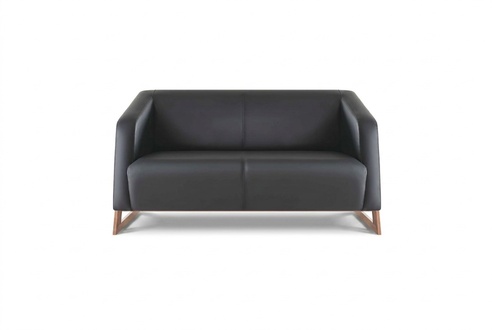 Sofa 2-Seater Black Leather Sofa Couch Modern Stainless Steel Leather Wood Soft