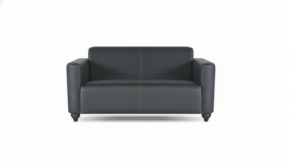 Sofa 2-Seater Black Solid Color Modern Design Study Living Room