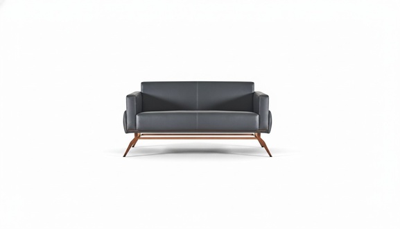 Black 2-Seater Sofa Modern Design Solid Color Home Office Living Room