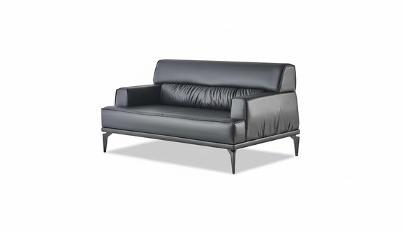 2-Seater Sofa Black Modern Leather Sofa Stainless Steel Couch Seating Furniture Leather